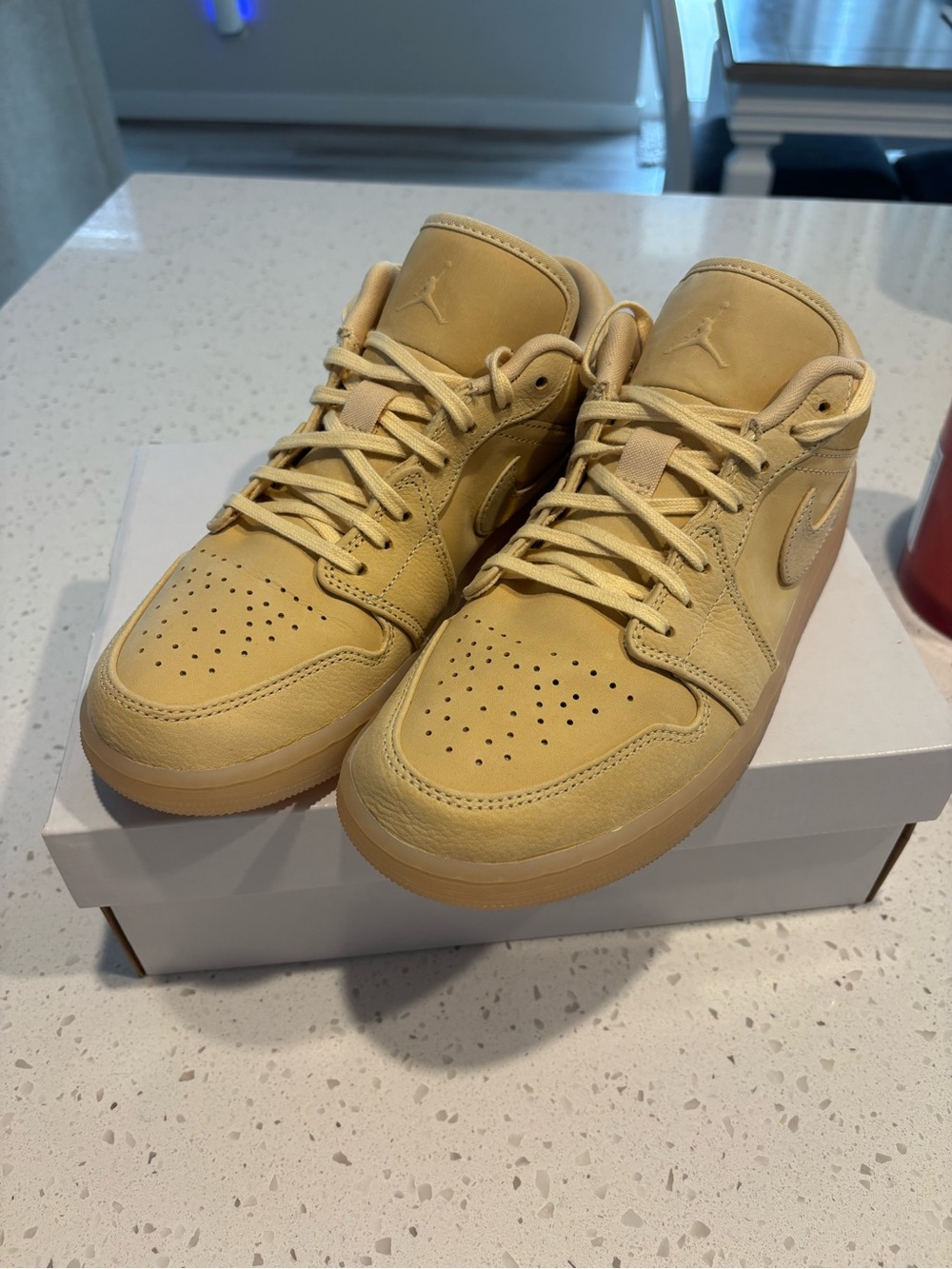 Nike Air Jordan 1 Low SE Pale Vanilla Gum Women’s Size 8 FZ3972-294 w/ Box